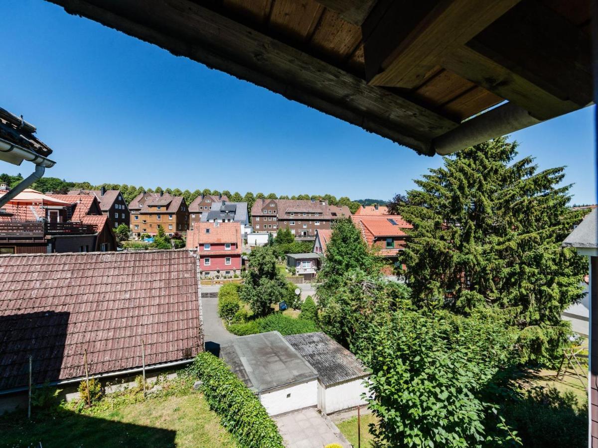 weißer Hirsch im Haus Sabine Braunlage Exterior foto